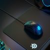 SteelSeries Rival 310 Ergonomic Mouse
