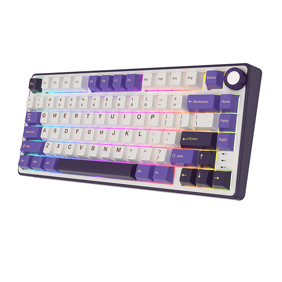 Royal Kludge RKR75 Blackberry Gaming Keyboard Blue Switch Wired - English